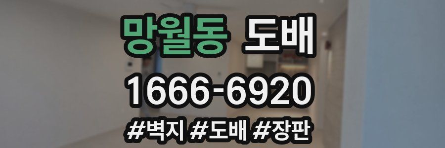 망월동 도배