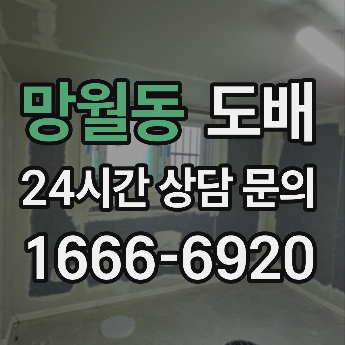 망월동 도배