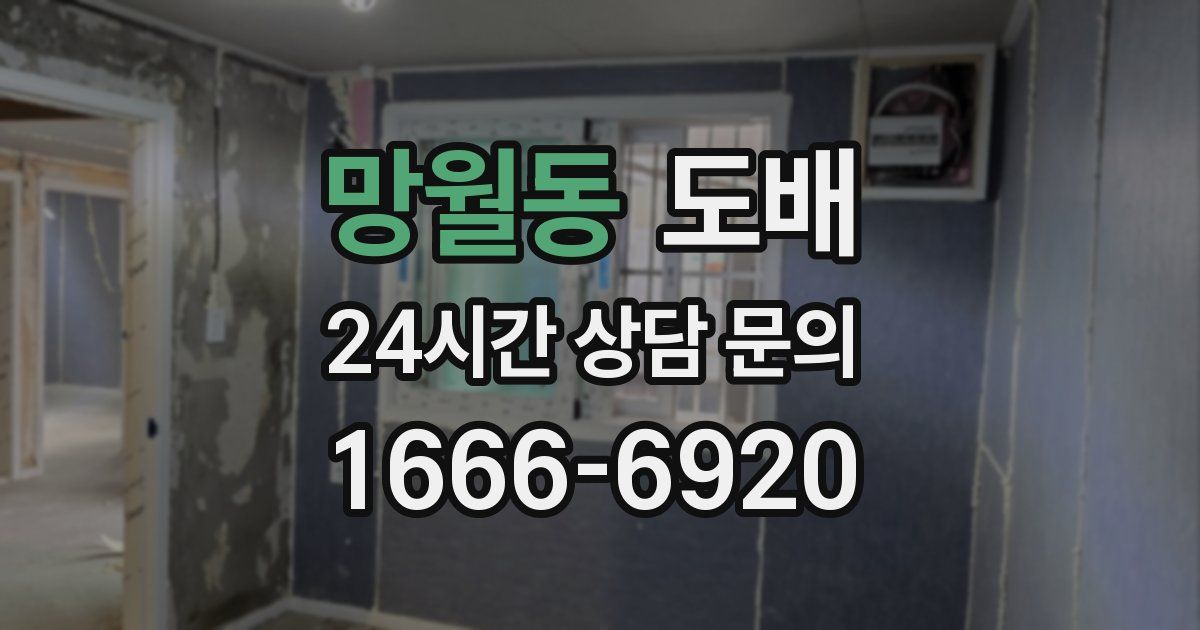 망월동 도배