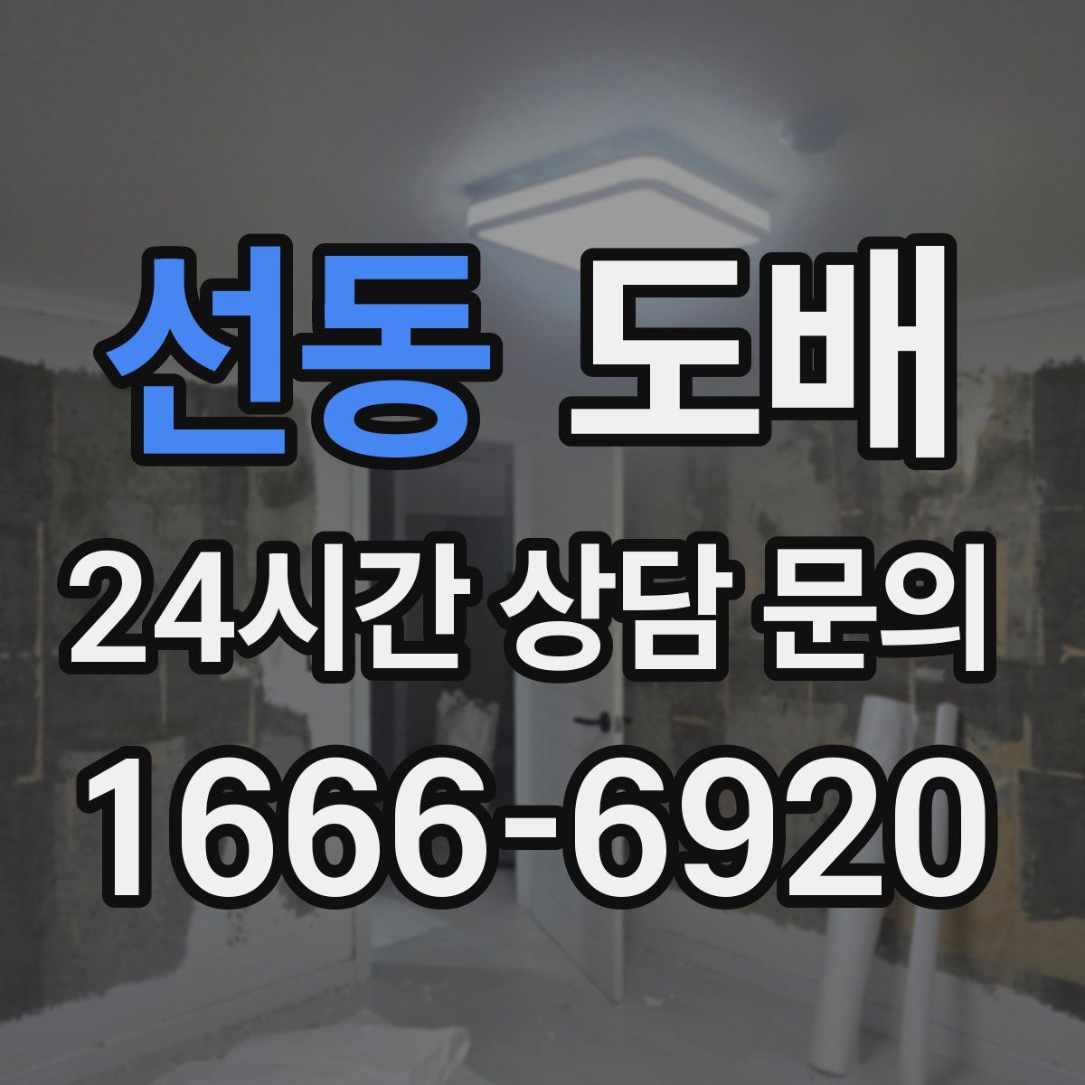 선동 도배