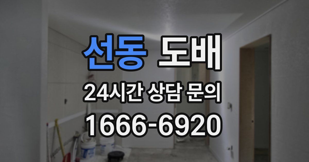 선동 도배