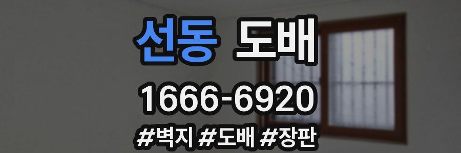 선동 도배