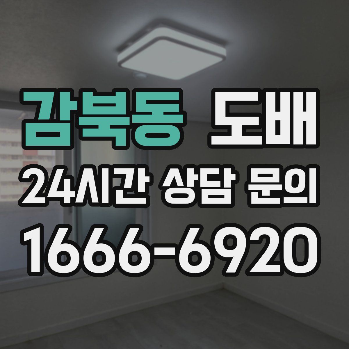 감북동 도배
