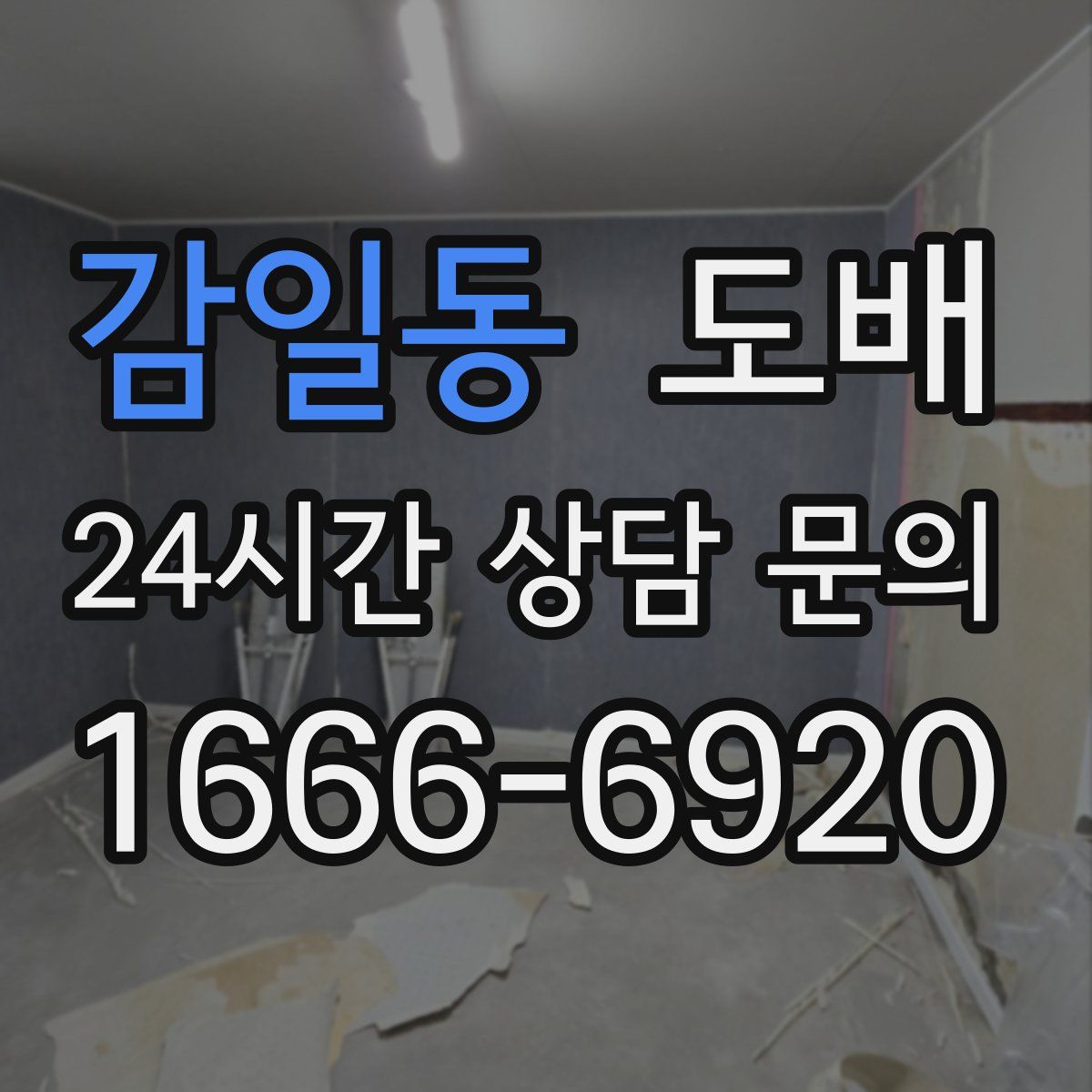 감일동 도배