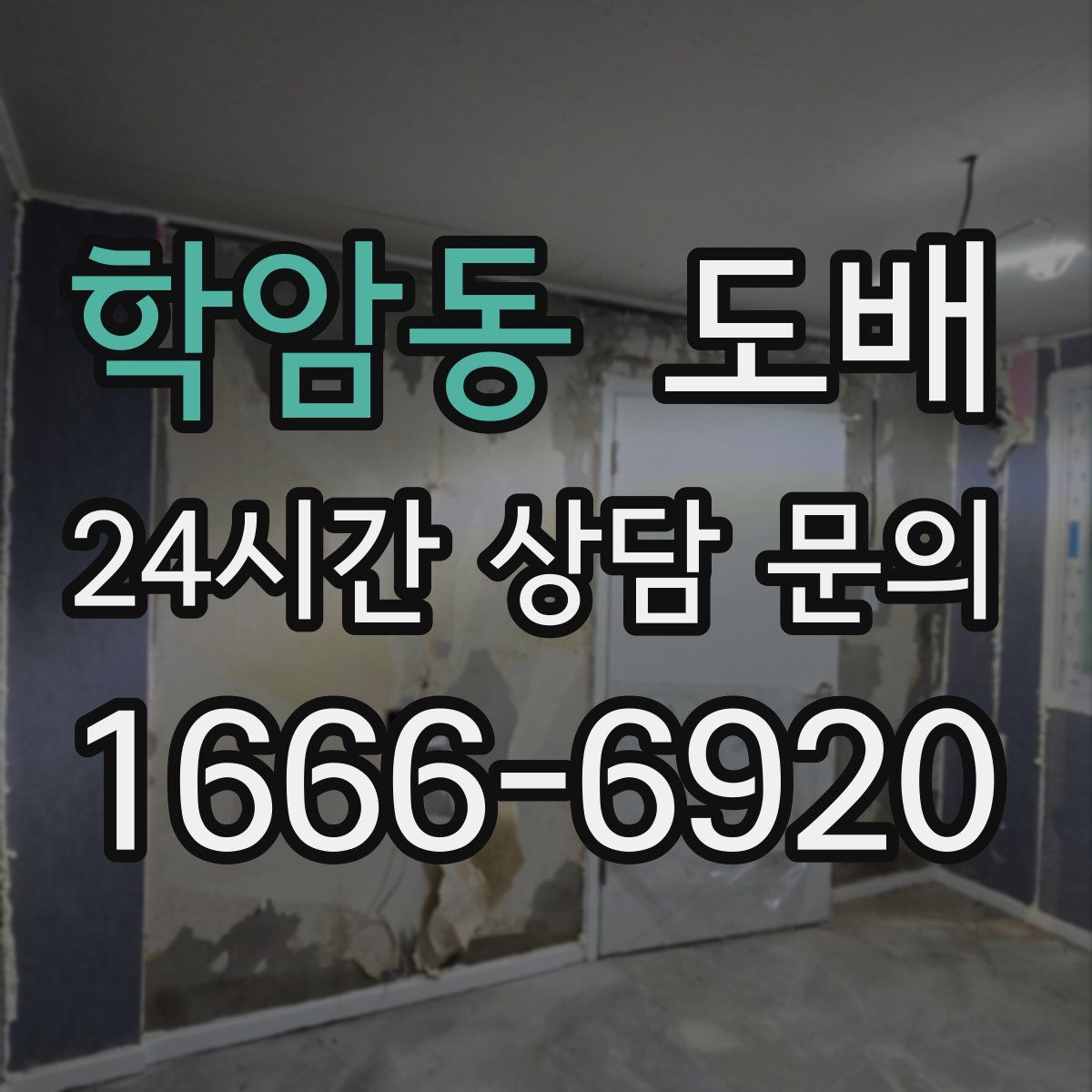 학암동 도배