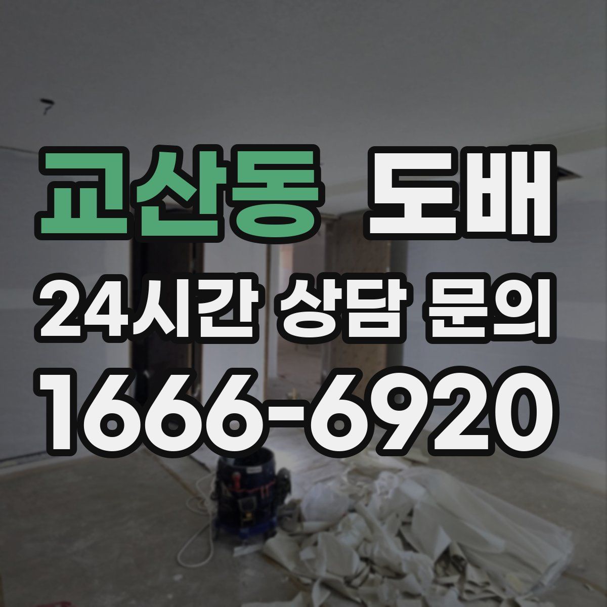 교산동 도배