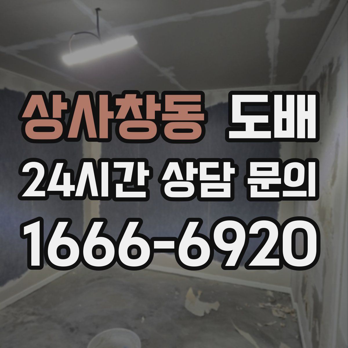 상사창동 도배