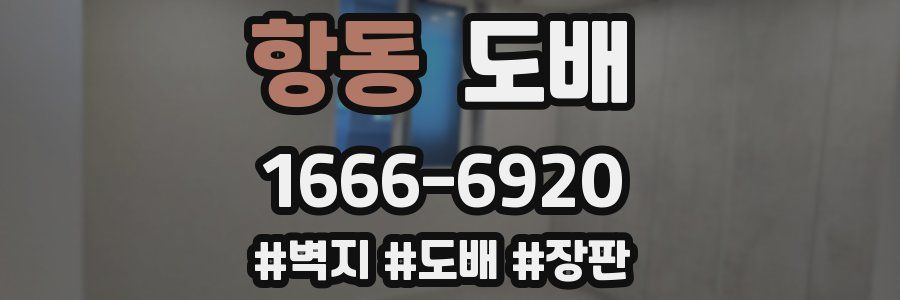 항동 도배