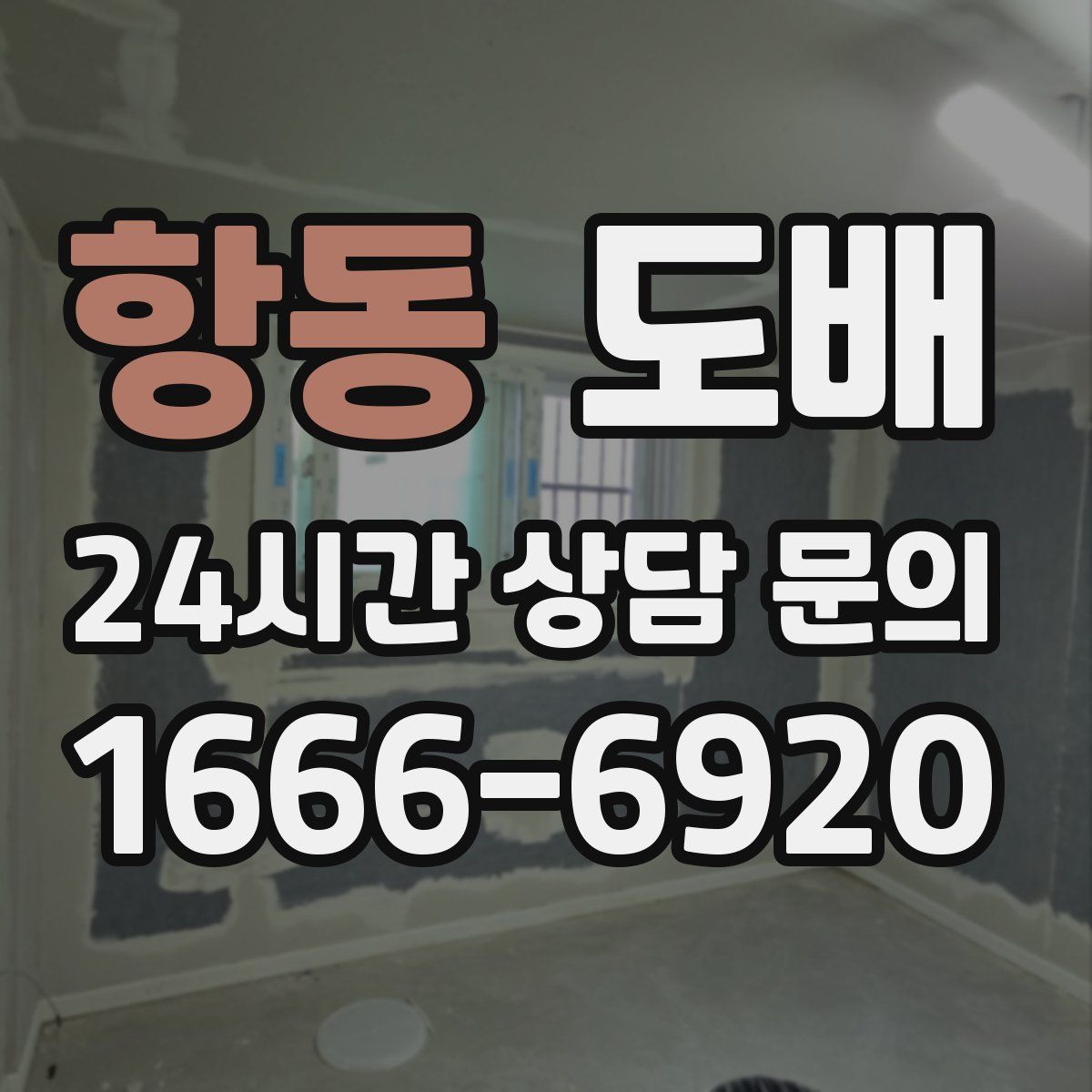 항동 도배