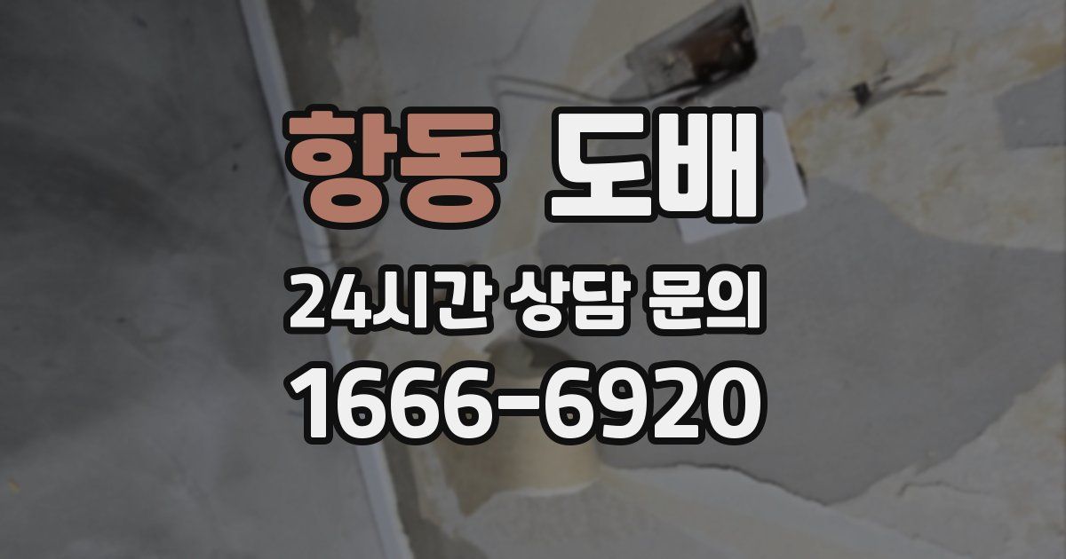 항동 도배