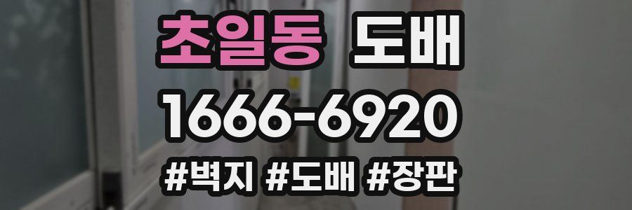 초일동 도배