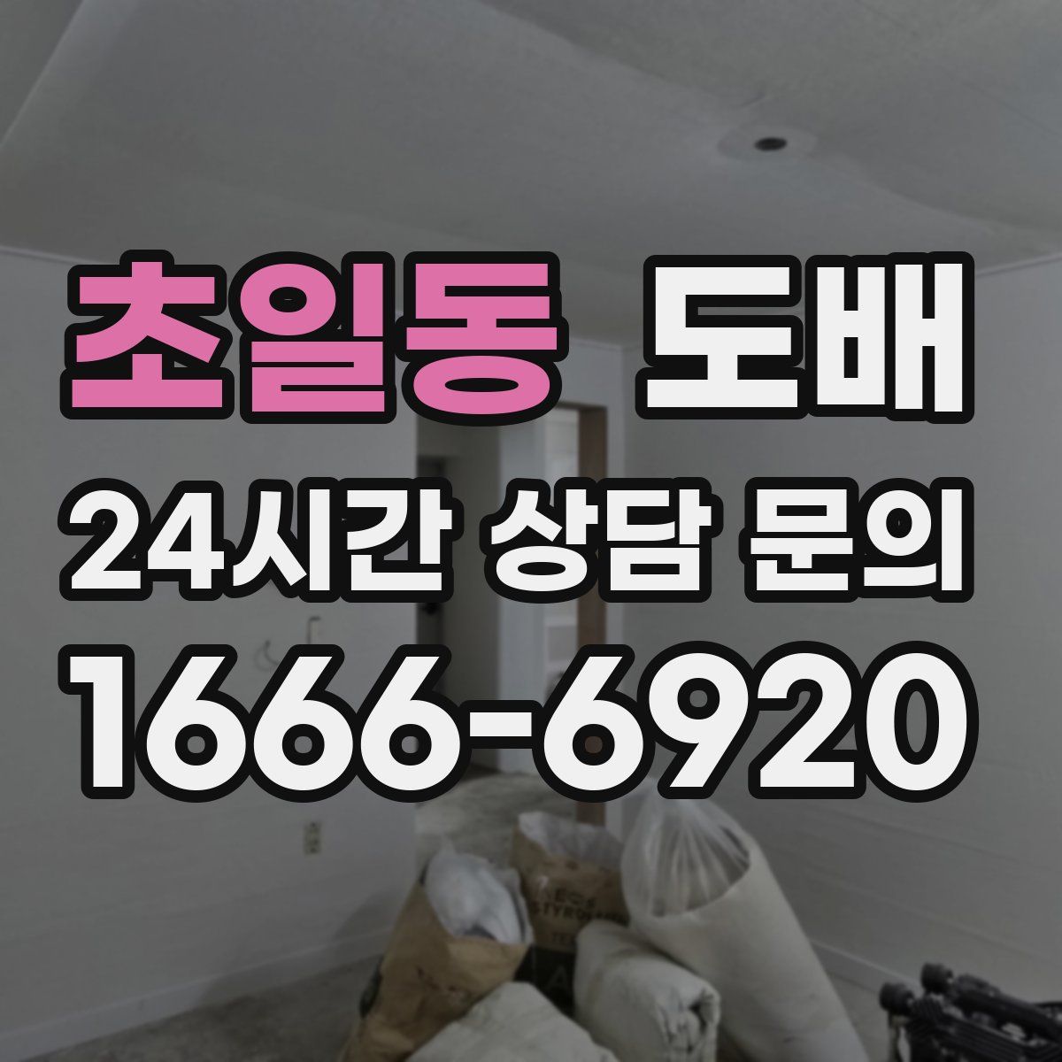 초일동 도배