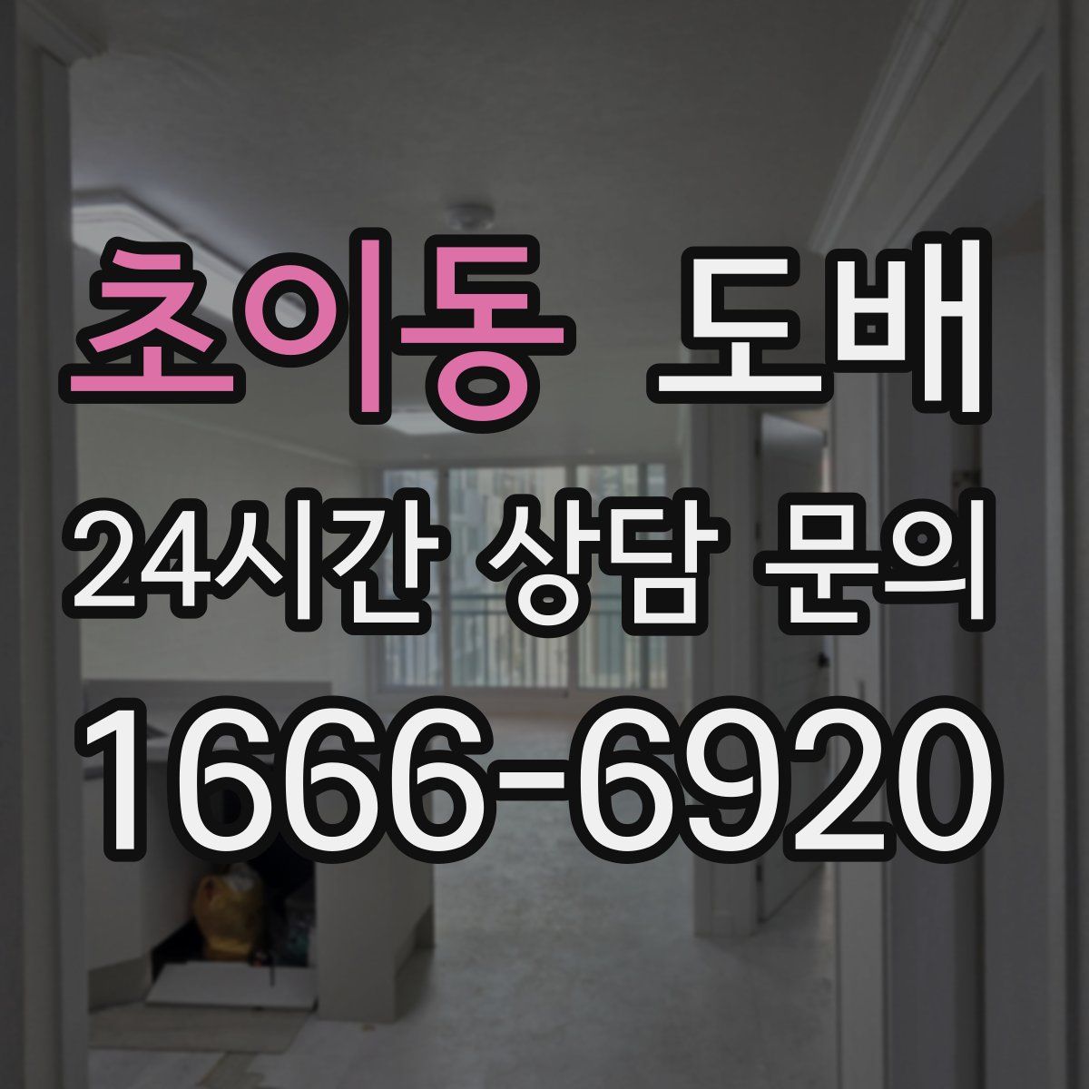 초이동 도배