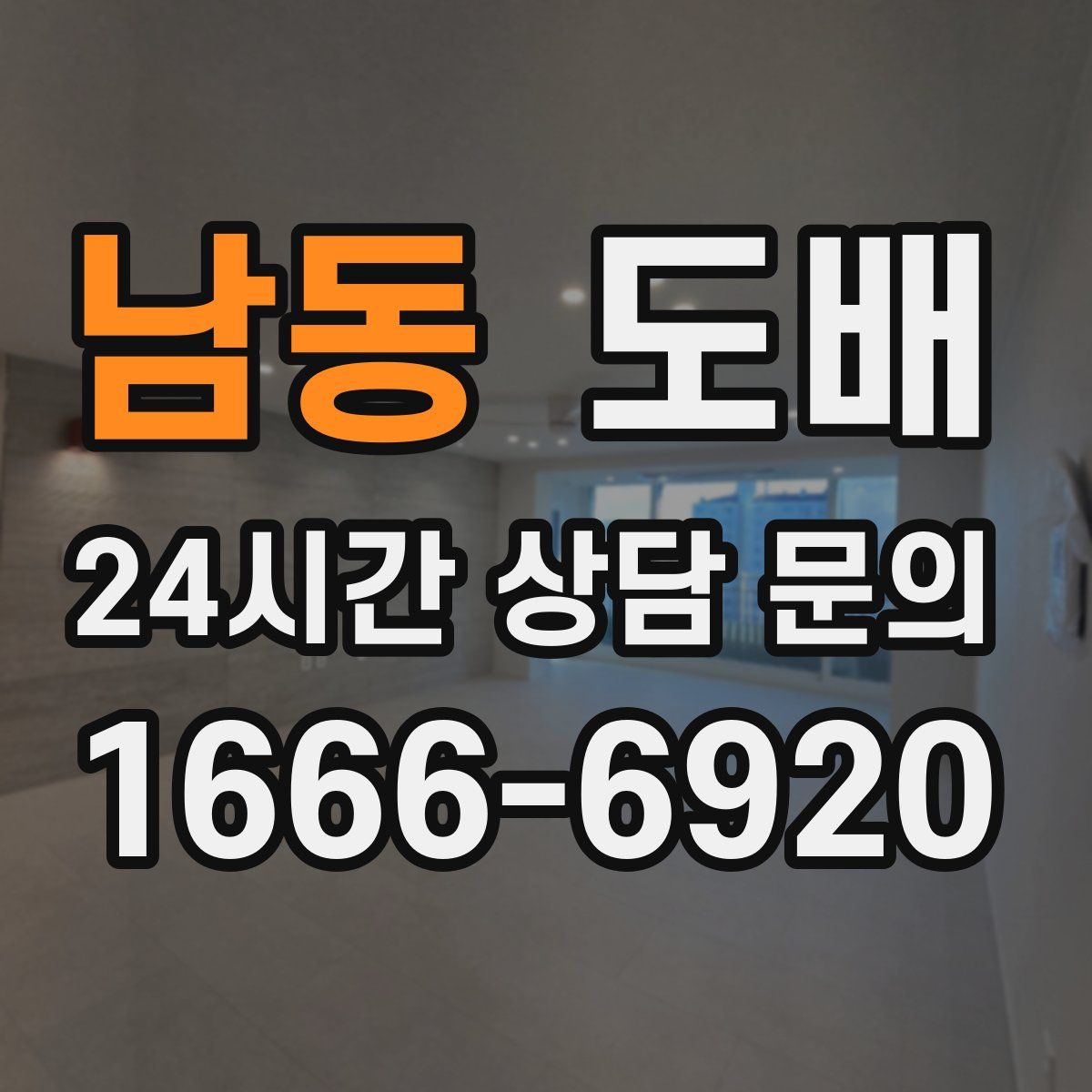 남동 도배