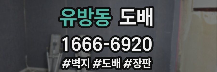 유방동 도배