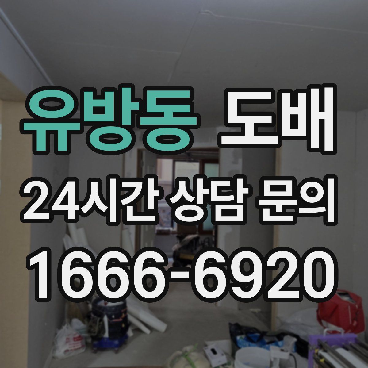 유방동 도배