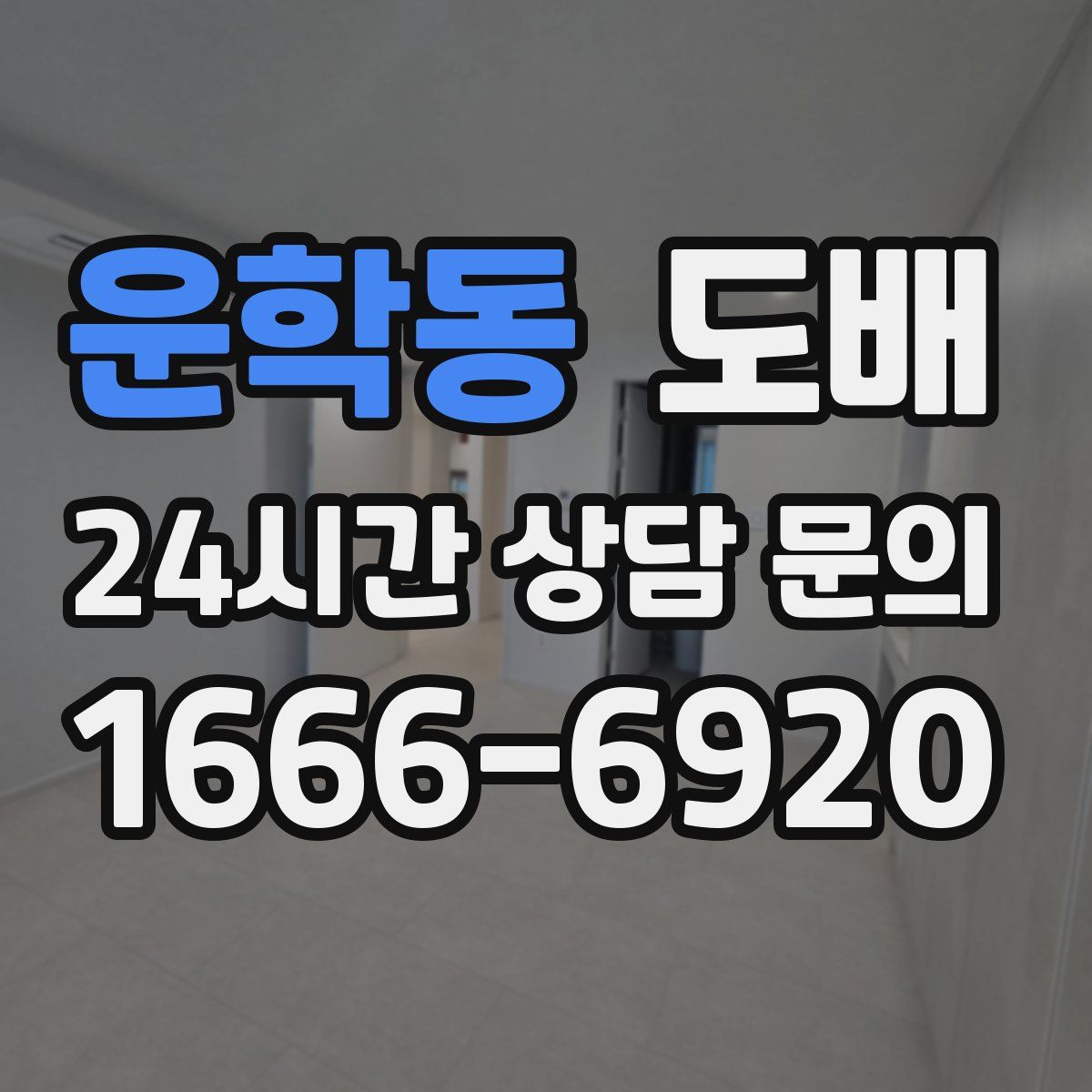 운학동 도배