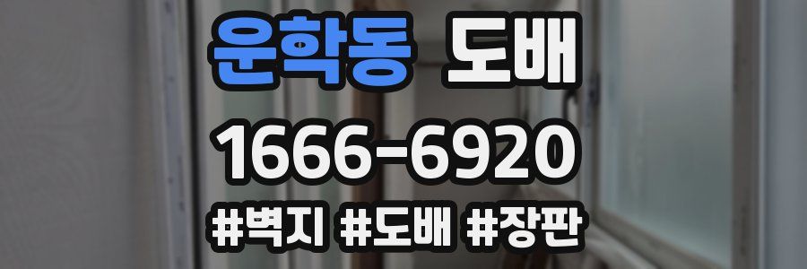 운학동 도배