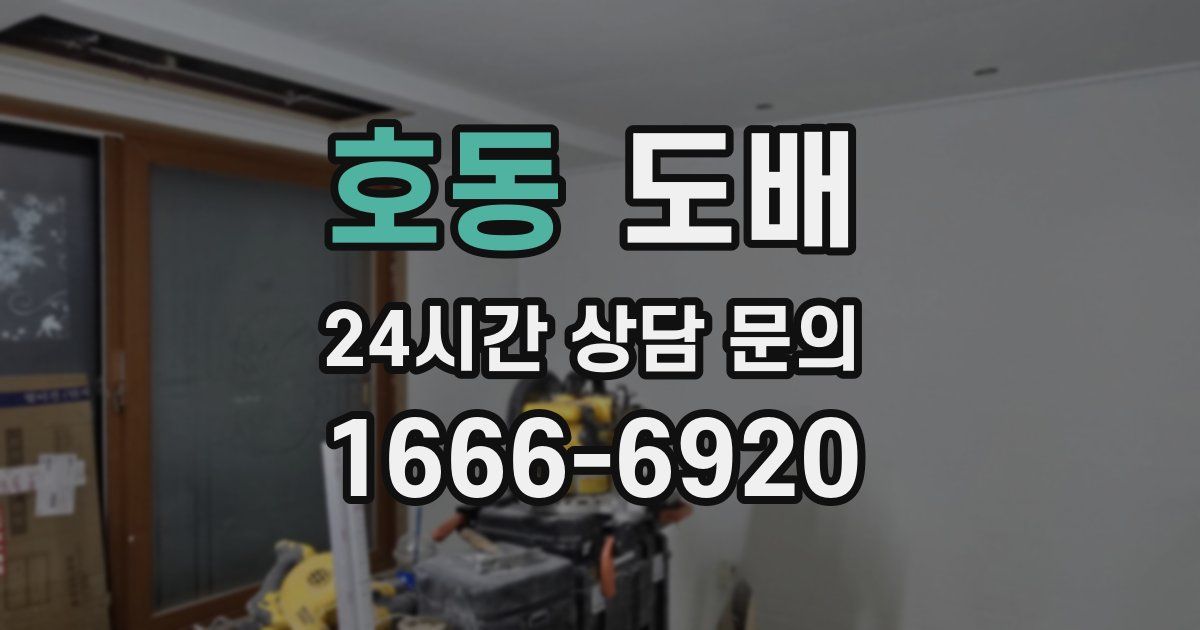 호동 도배