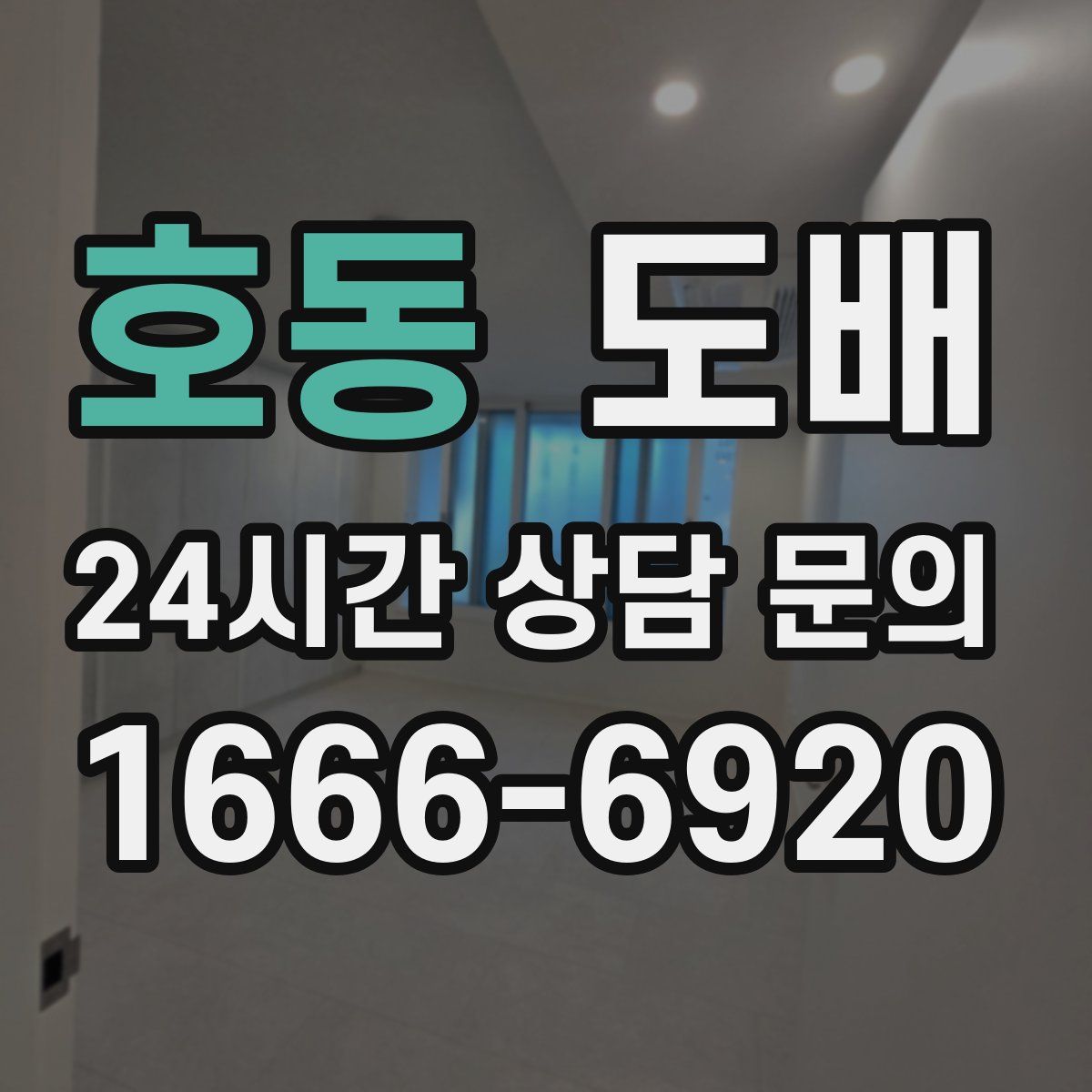 호동 도배