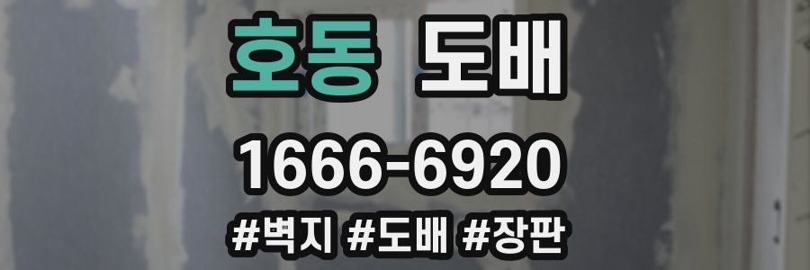 호동 도배