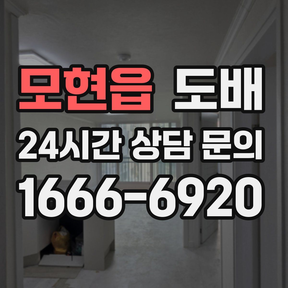모현읍 도배