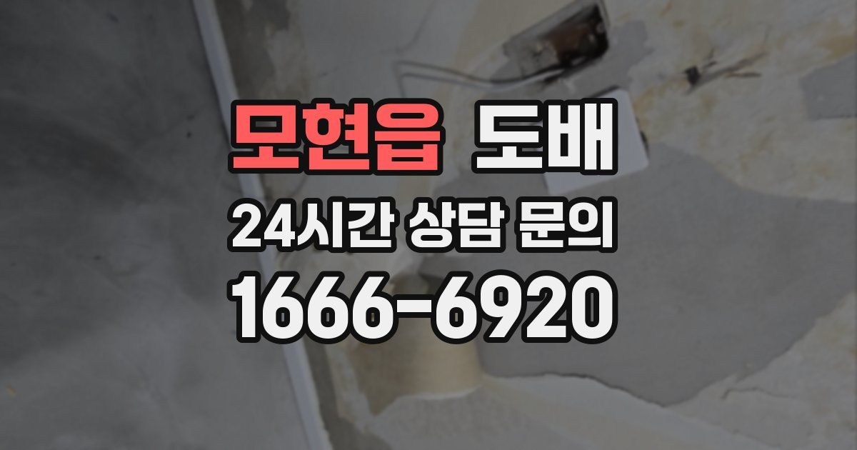모현읍 도배
