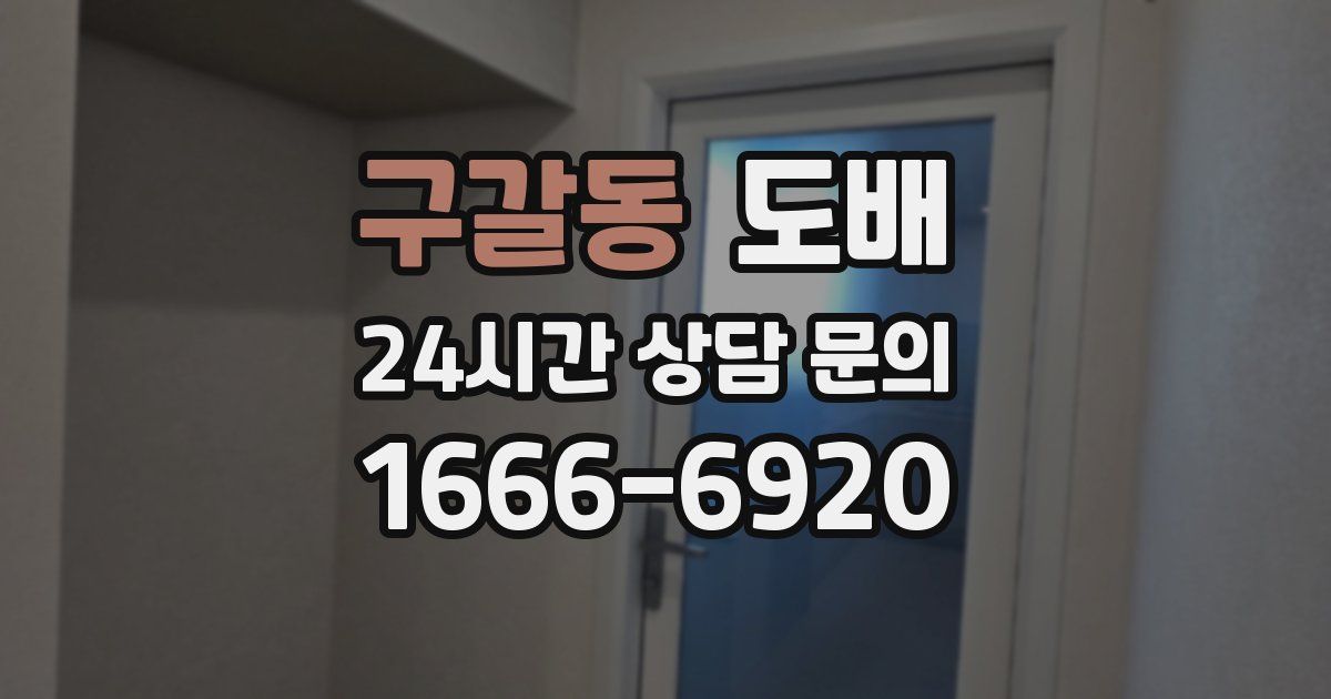 구갈동 도배