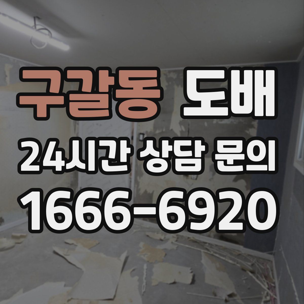 구갈동 도배