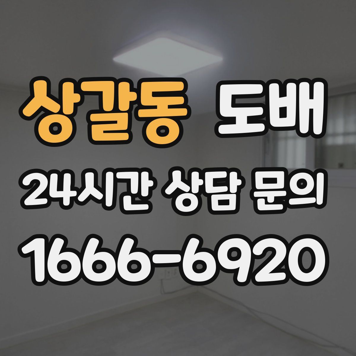 상갈동 도배