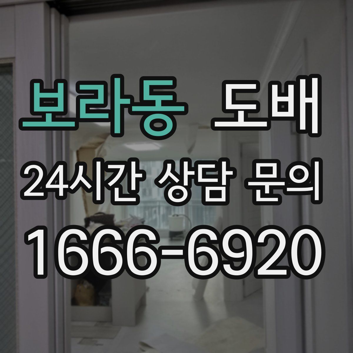보라동 도배