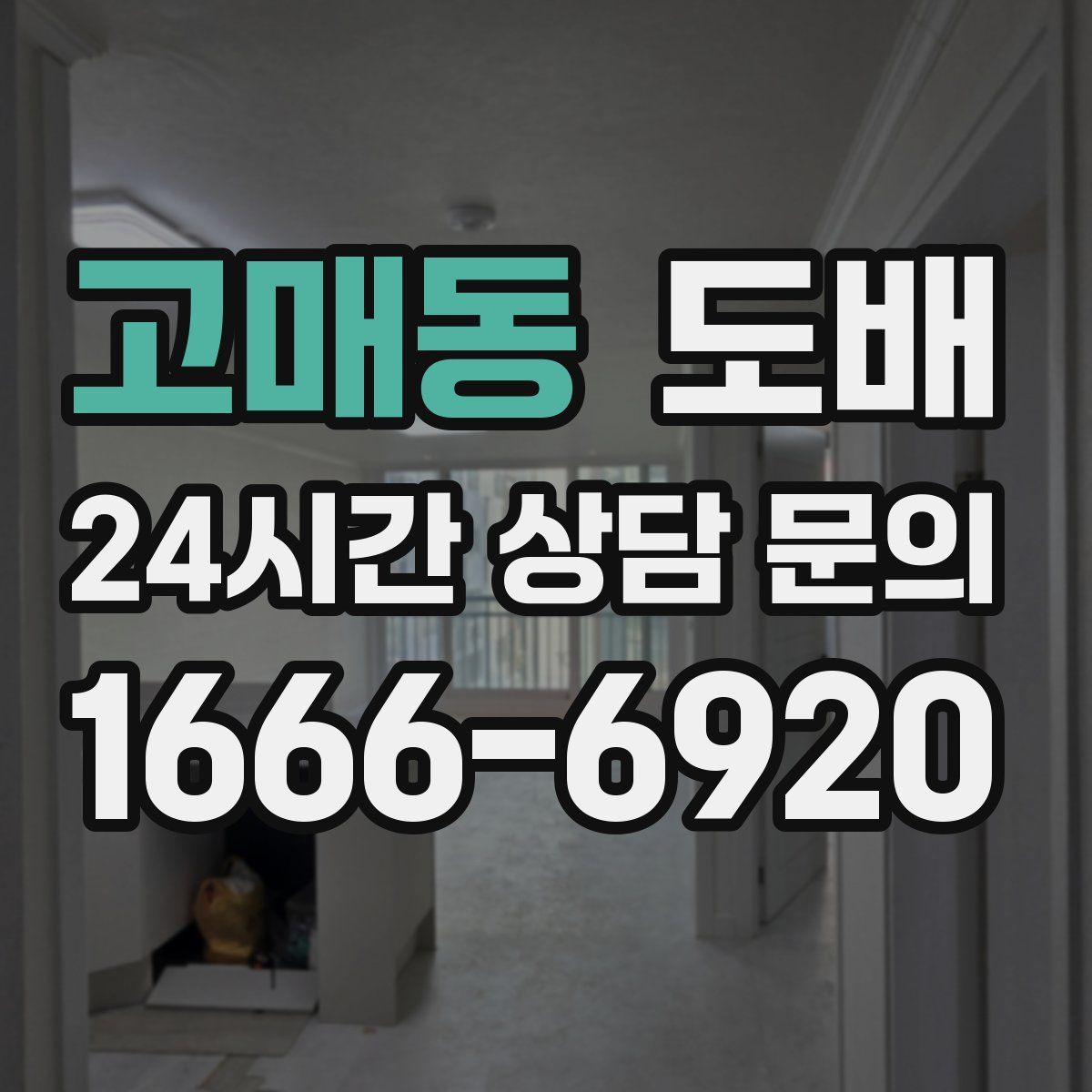 고매동 도배