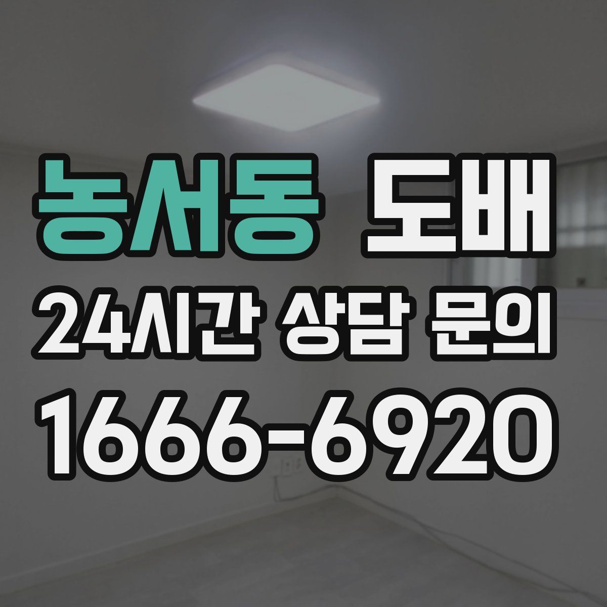 농서동 도배