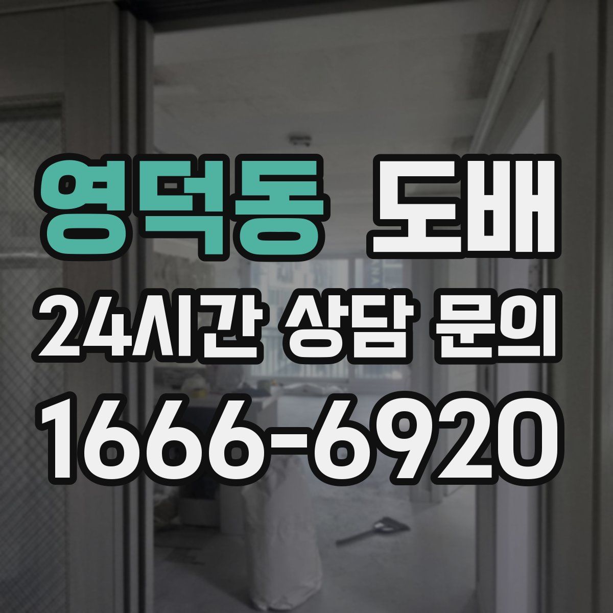 영덕동 도배