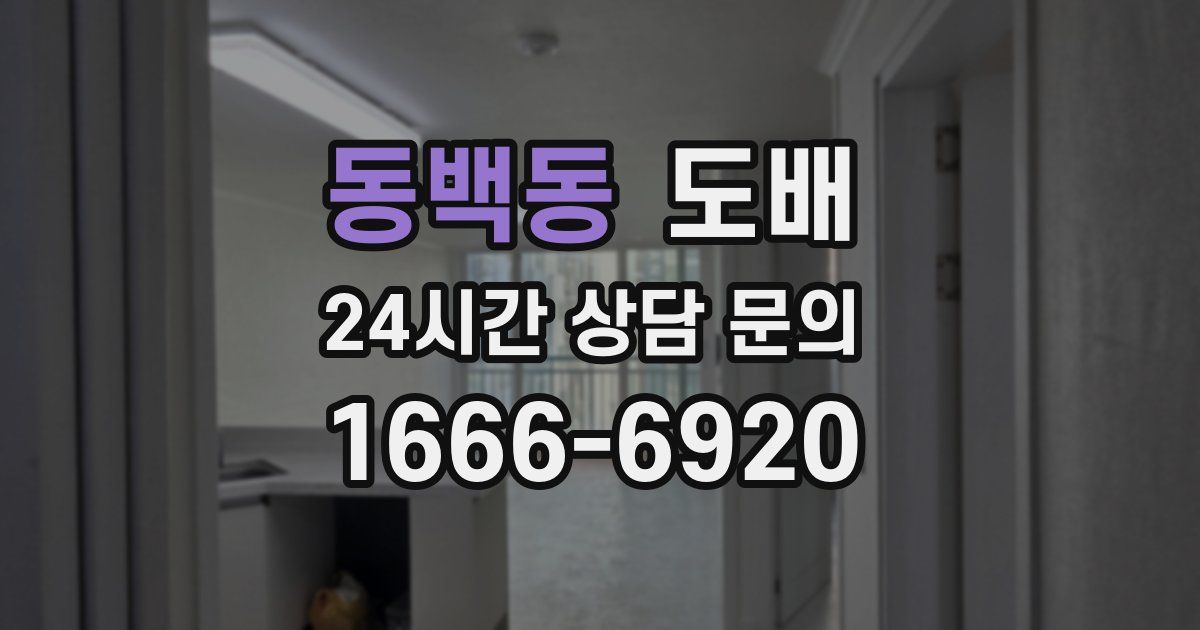 동백동 도배