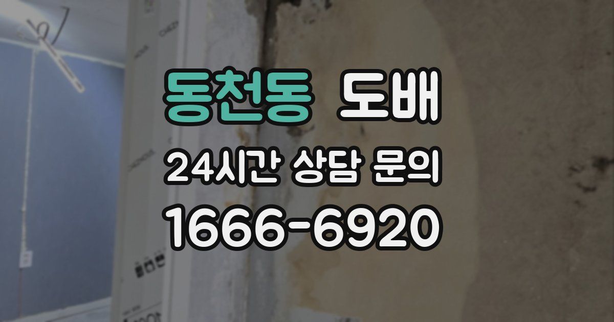 동천동 도배