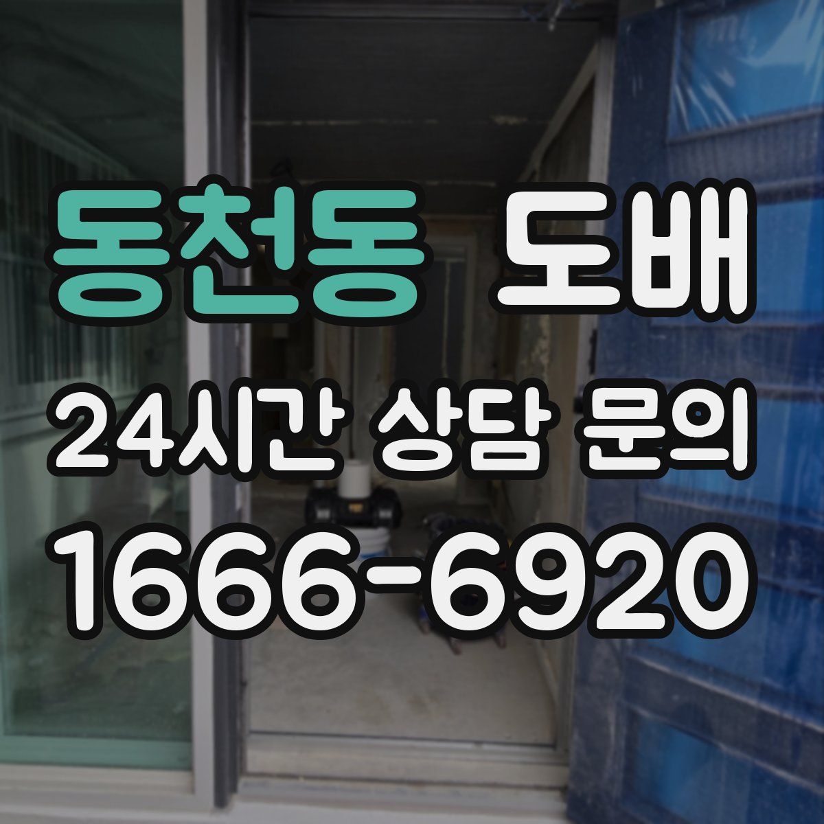 동천동 도배