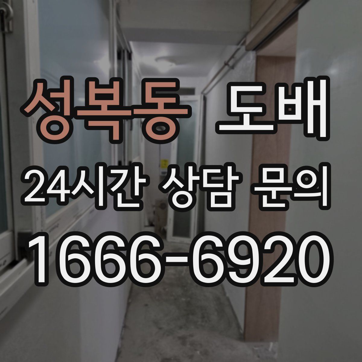 성복동 도배