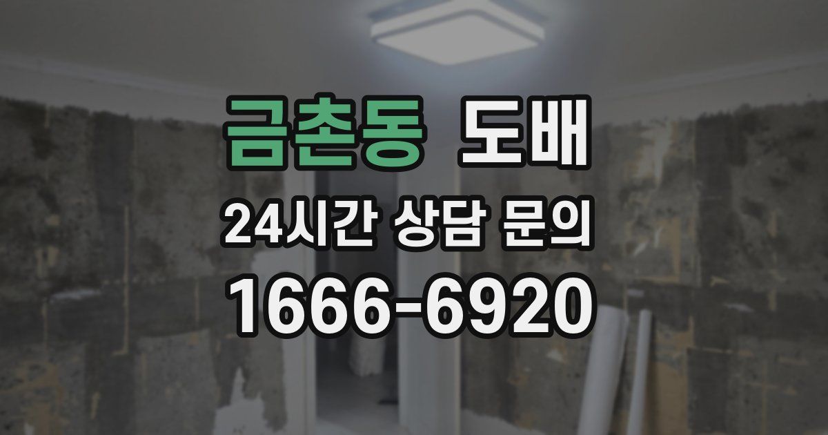 금촌동 도배