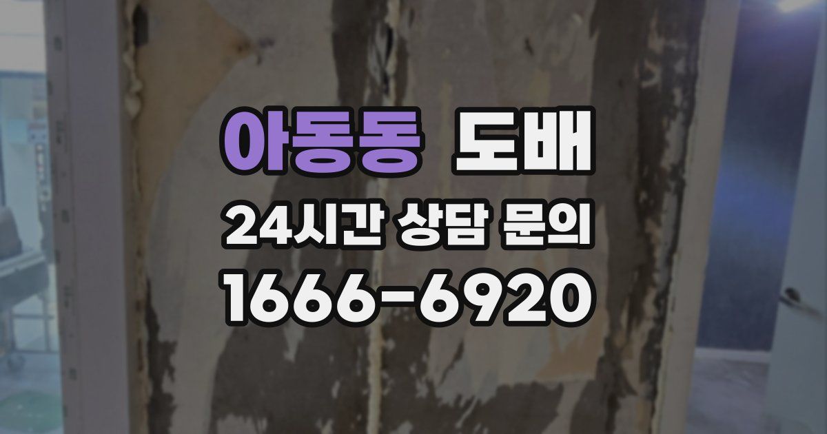 아동동 도배