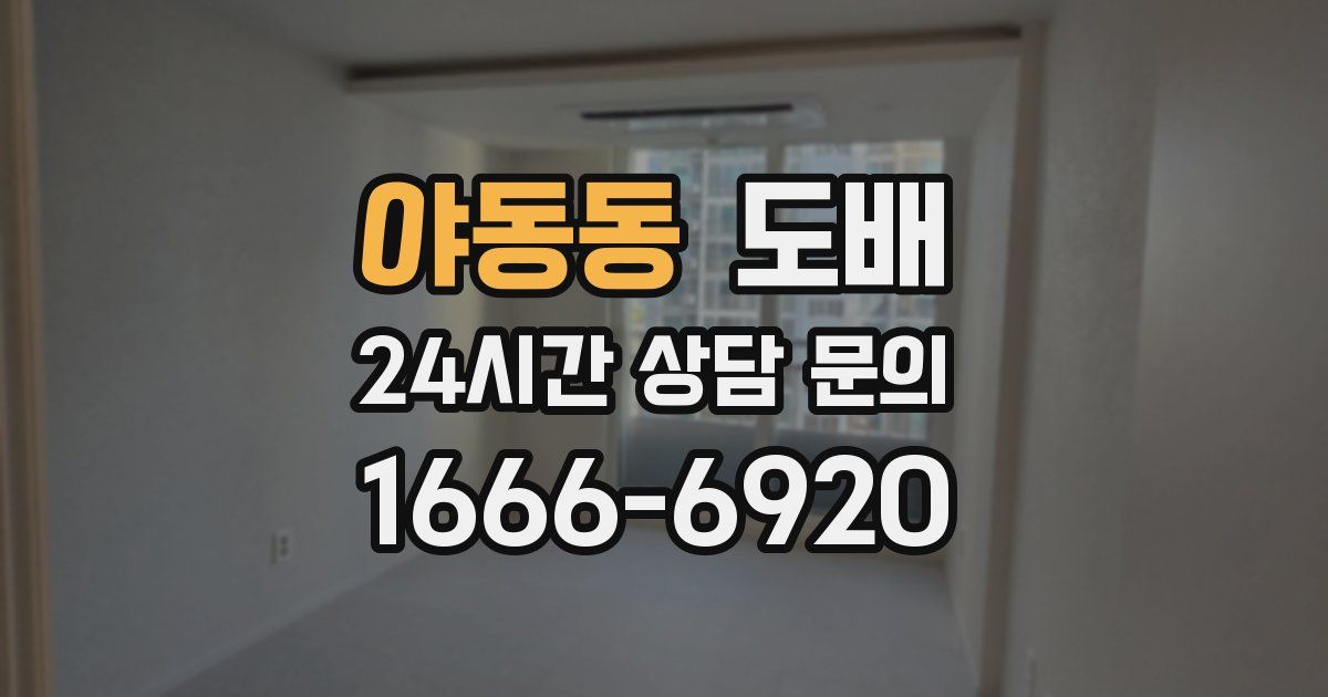 야동동 도배