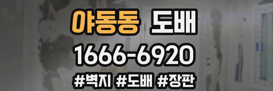 야동동 도배