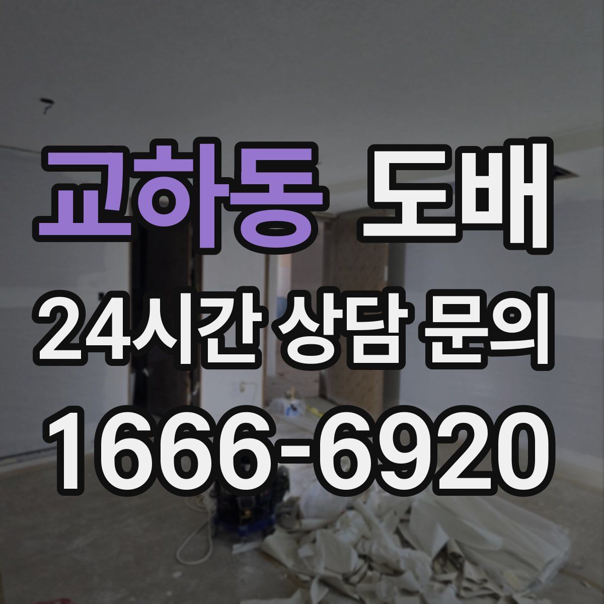 교하동 도배