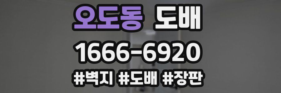 오도동 도배