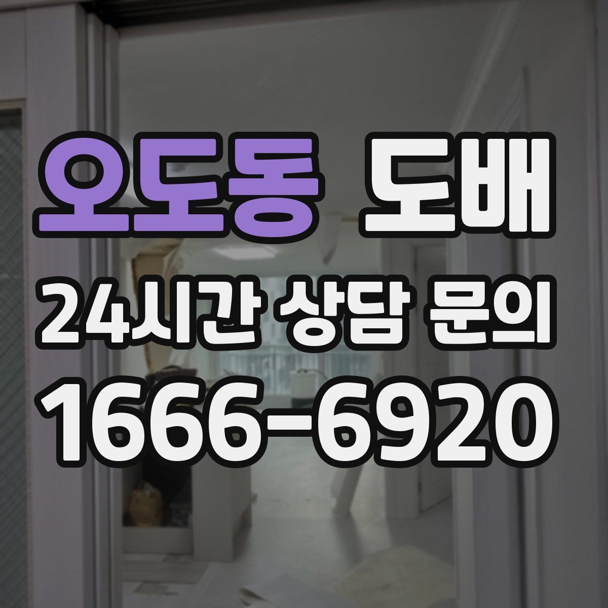 오도동 도배