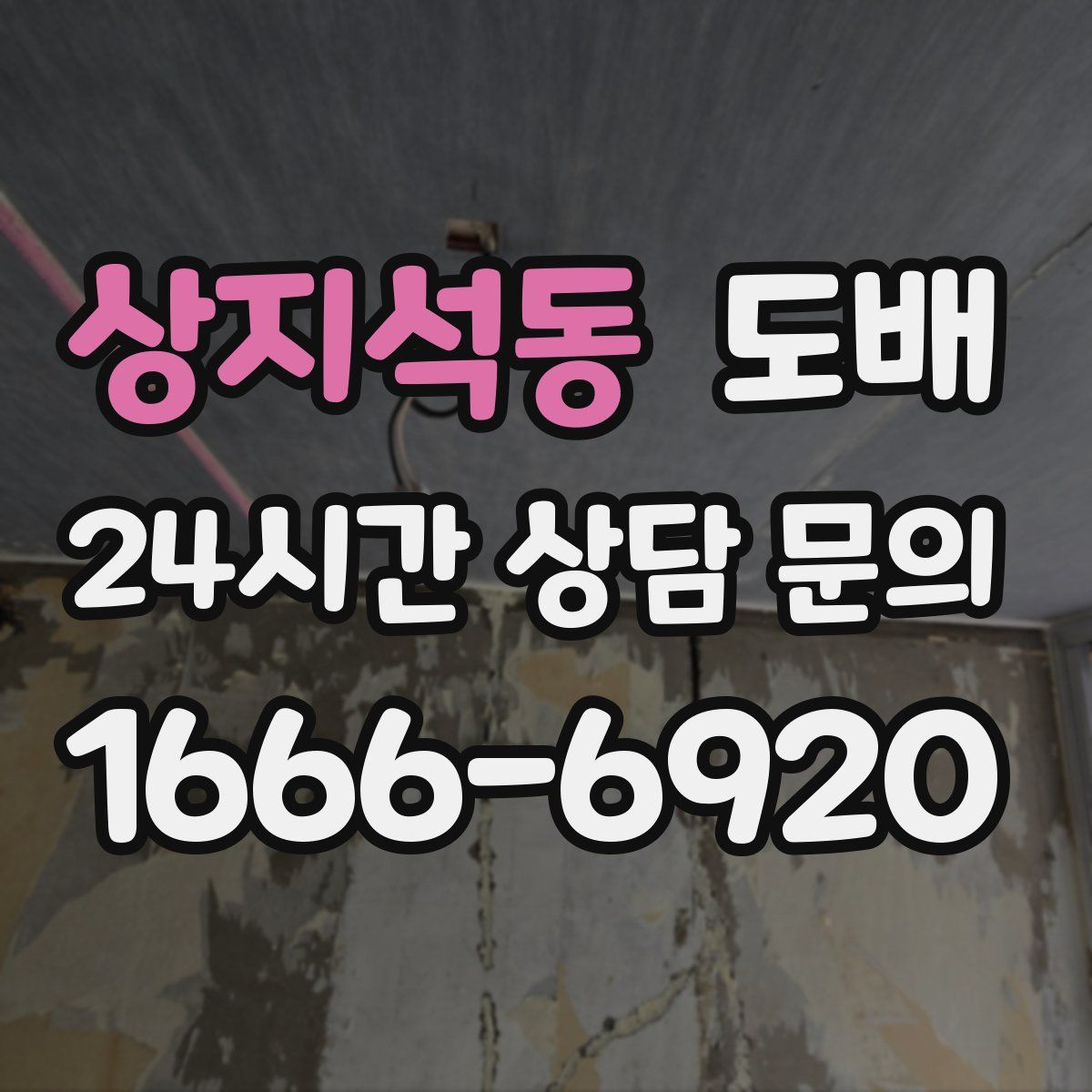 상지석동 도배