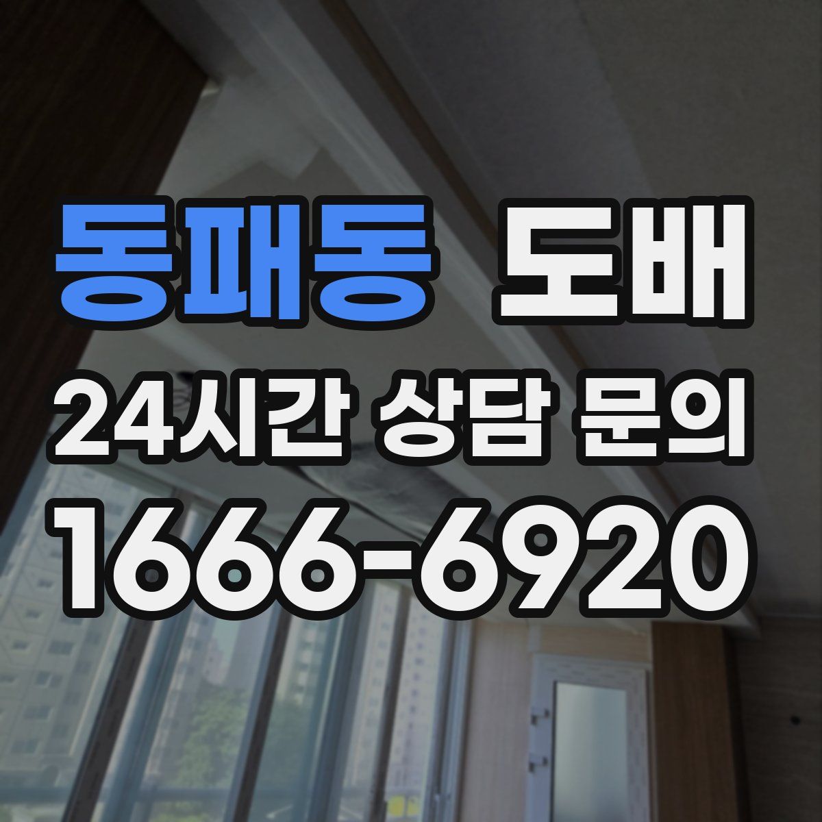 동패동 도배