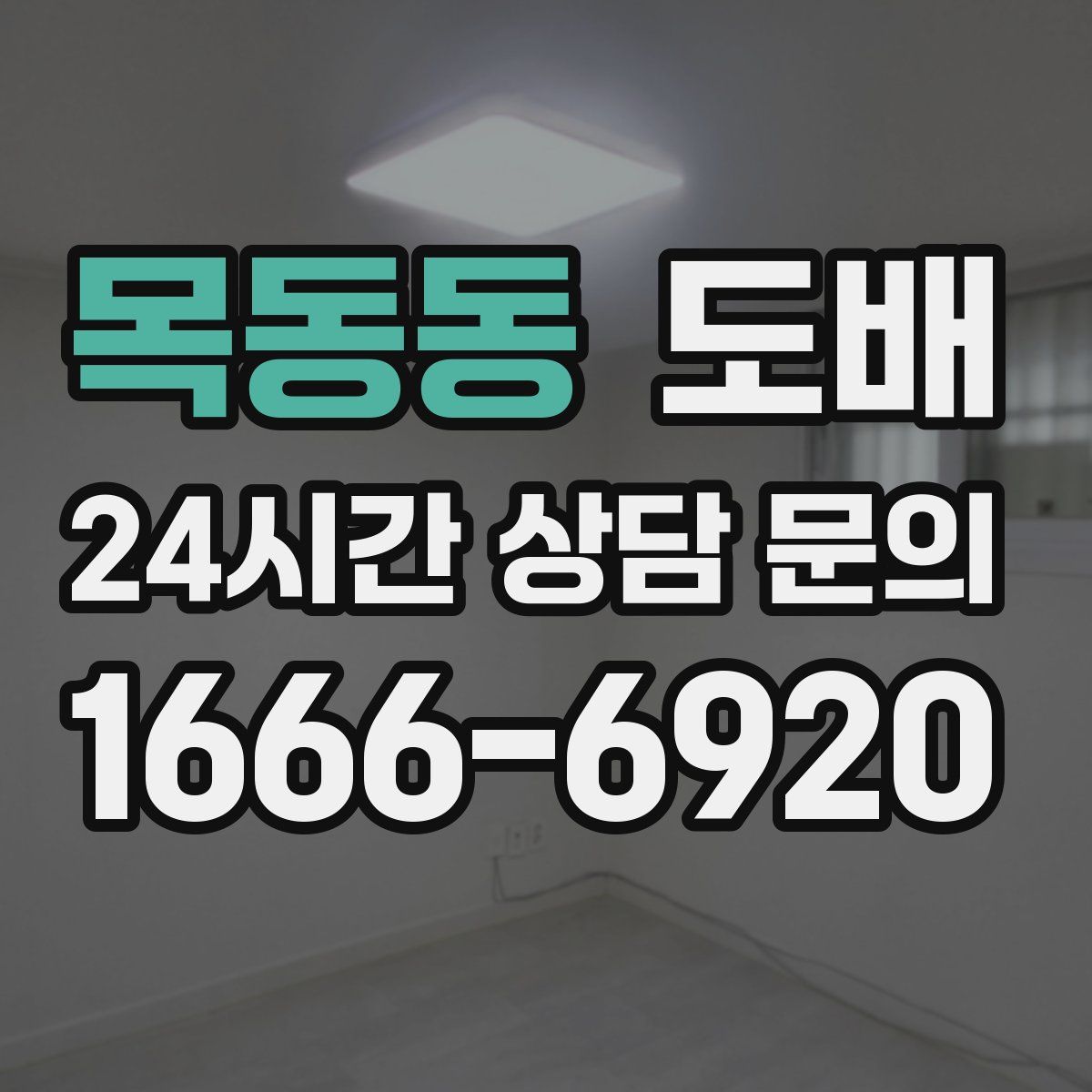 목동동 도배