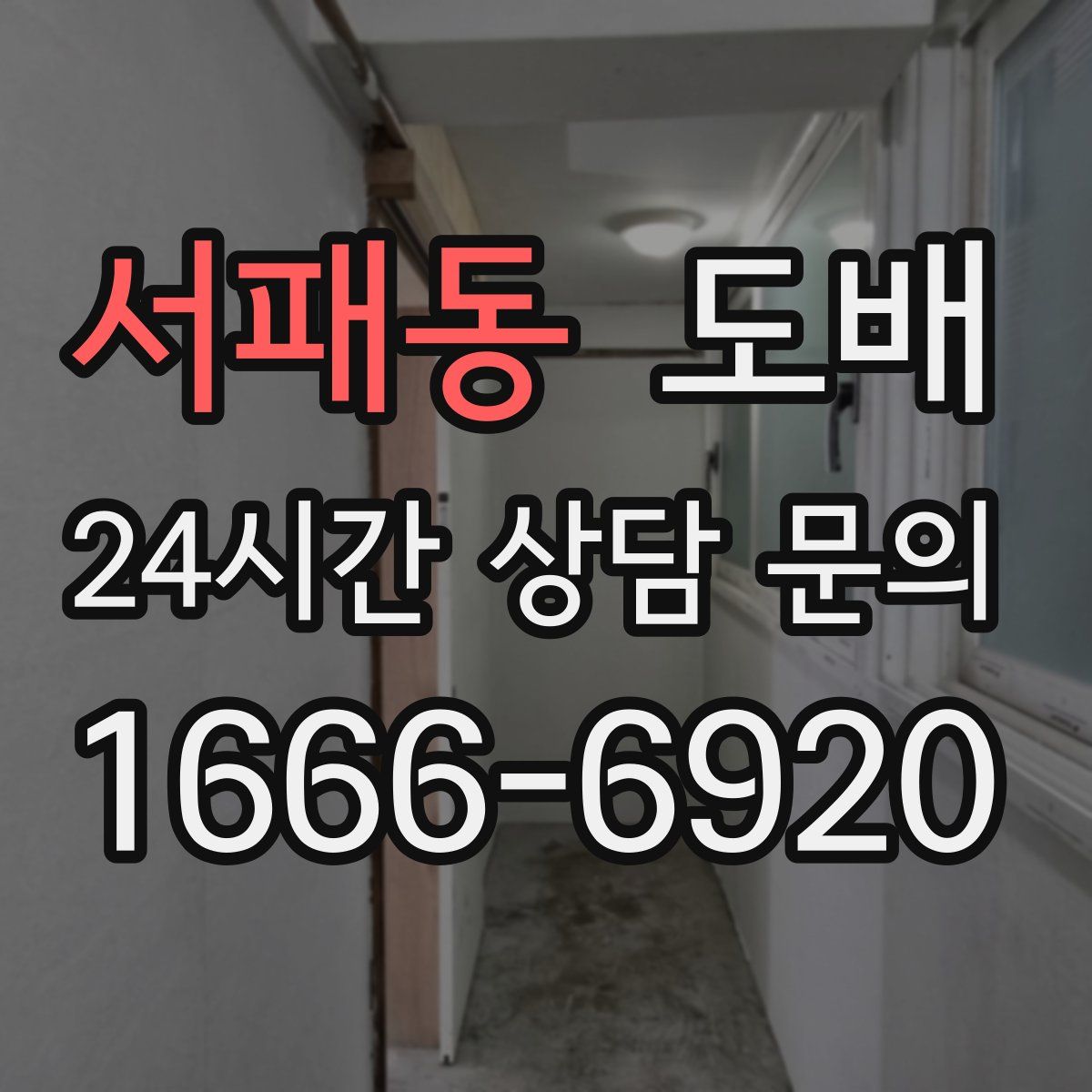 서패동 도배