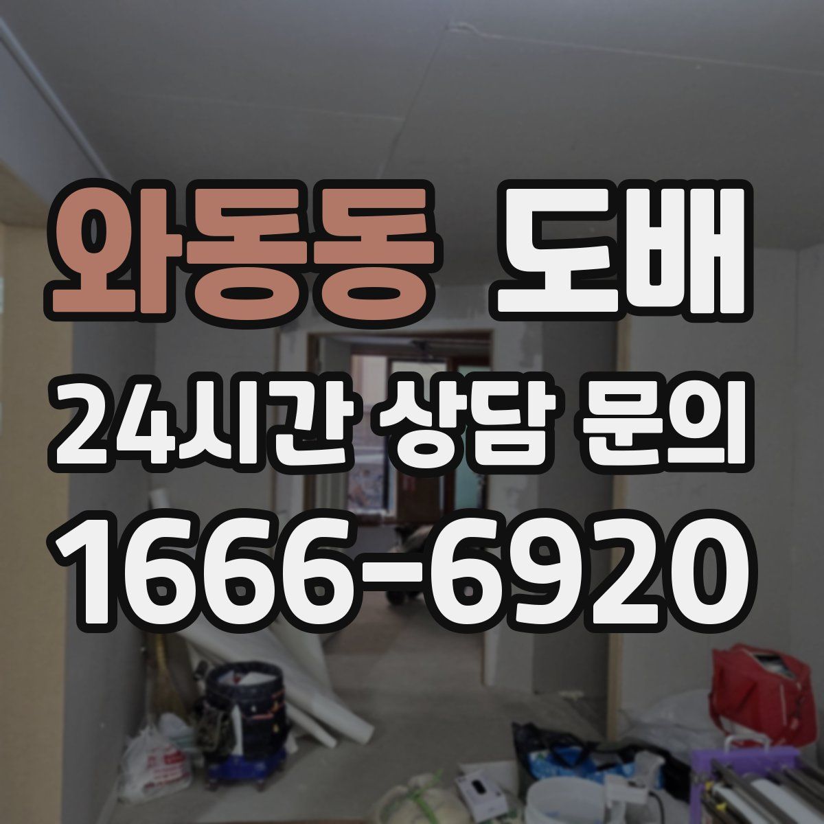 와동동 도배